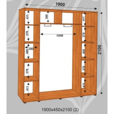 Шкаф-купе Стандарт 1900х450х2100 (наполнение 2)