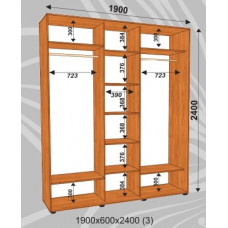 Шкаф-купе Стандарт 1900х600х2400 (наполнение 3)