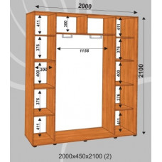 Шкаф-купе Стандарт 2000х450х2100 (наполнение 2)