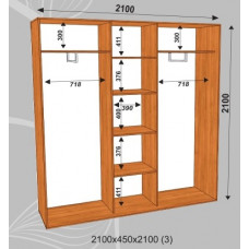 Шкаф-купе Стандарт 2100х450х2100 (наполнение 3)